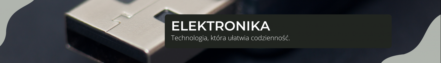 Elektronika