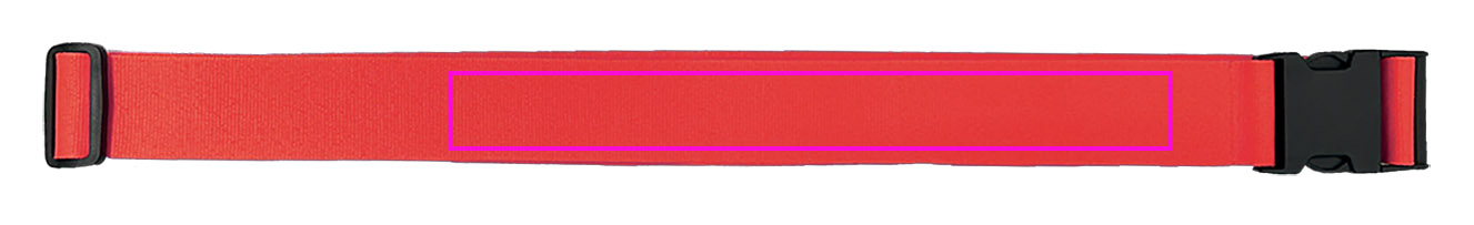 Pasek do bagażu BRADLEY