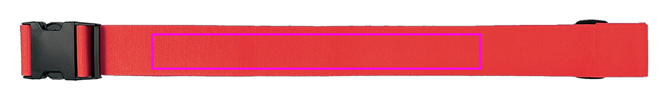 Pasek do bagażu BRADLEY