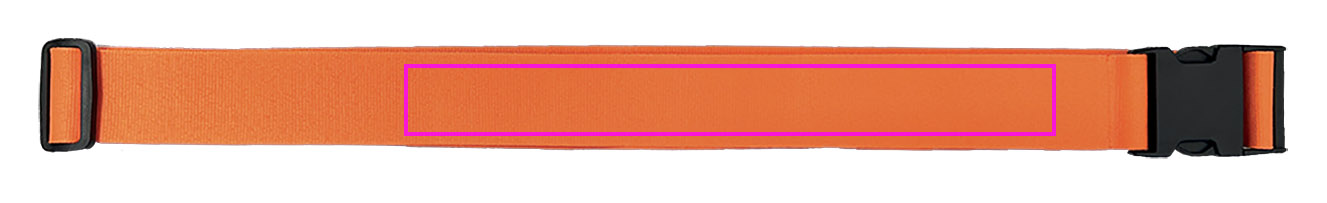 Pasek do bagażu BRADLEY