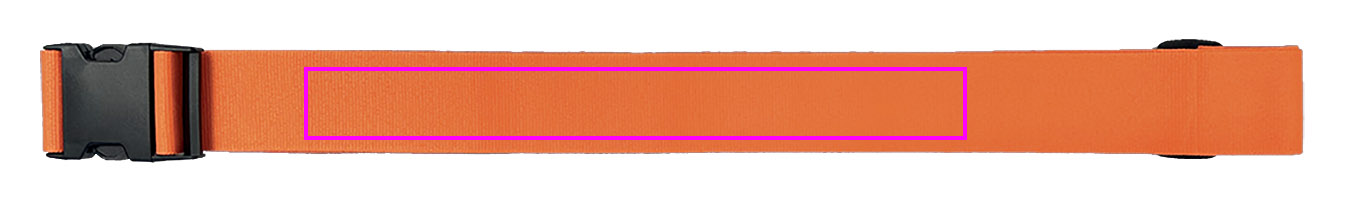 Pasek do bagażu BRADLEY