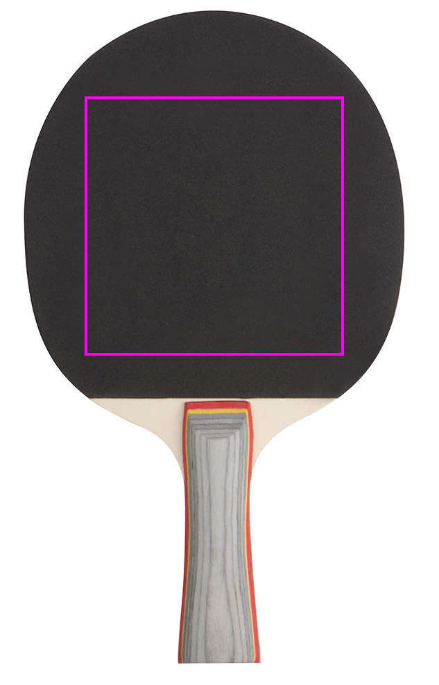 Zestaw do gry w ping ponga ZARA