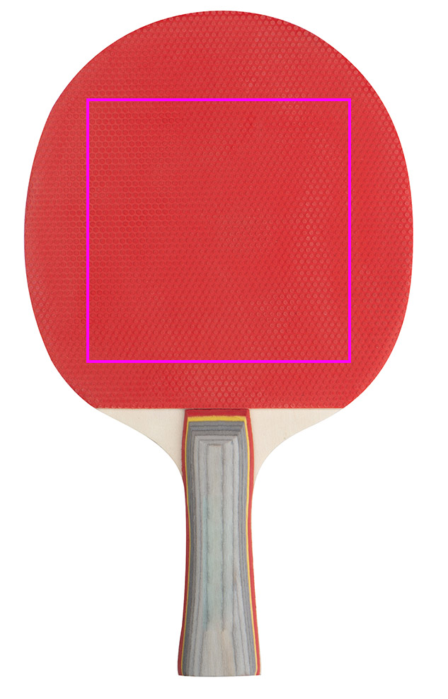 Zestaw do gry w ping ponga ZARA