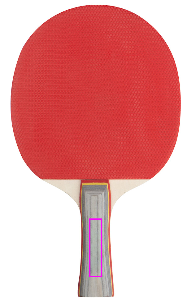 Zestaw do gry w ping ponga ZARA