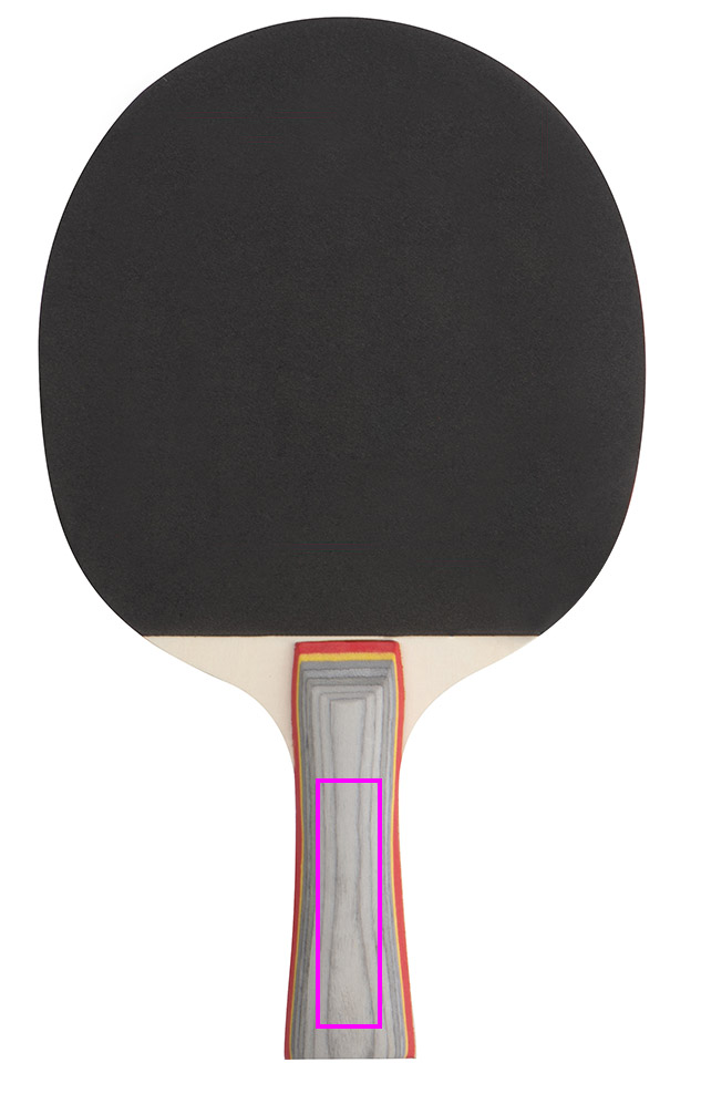 Zestaw do gry w ping ponga ZARA