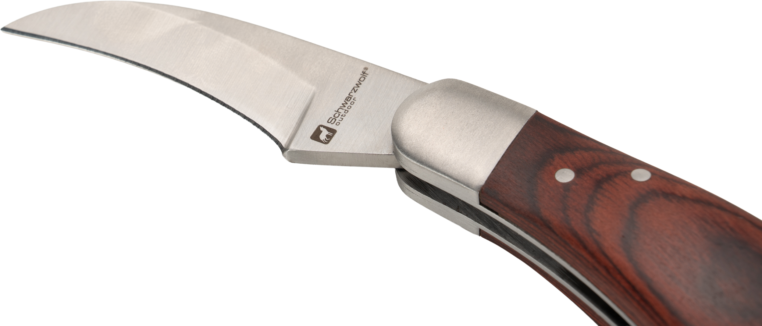 Nóż do grzybów PILZ Schwarzwolf